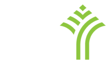 TMM Paper Industry WLL